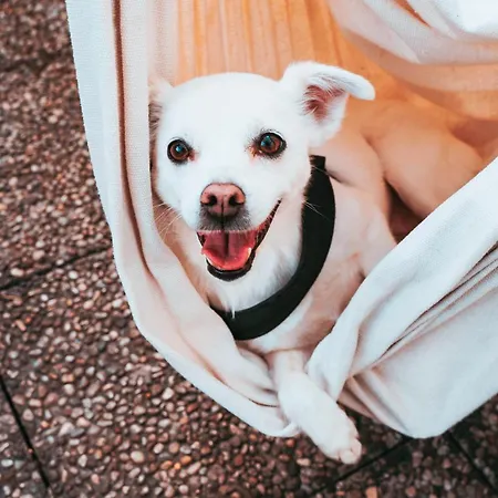 Neapolitantrips Panzió 3*